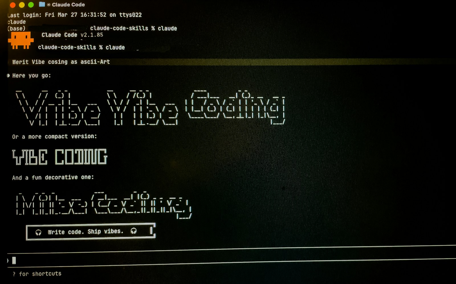 Computer screen displays "vibe vibe coding" text