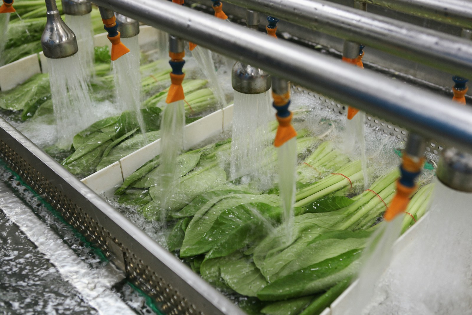 a bunch of vegetables being washed in a machine